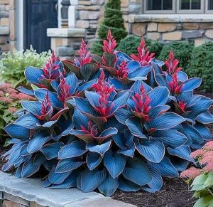 Хоста Грин Фог купить по цене от 669р. в интернет-магазине «Посадика» с доставкой почтой в в Белеве и по всей России – [изображение №1].